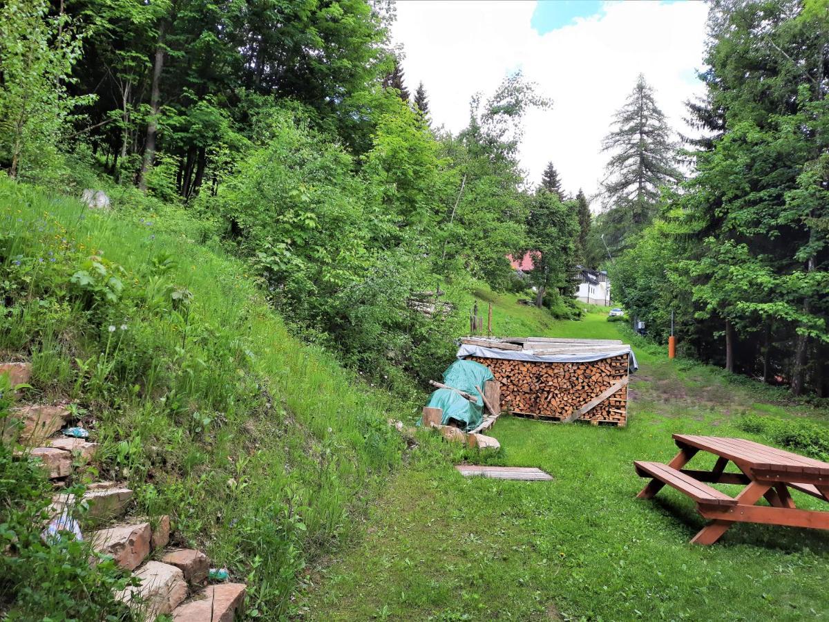 Mezi Stromy Apartmán Rokytnice nad Jizerou