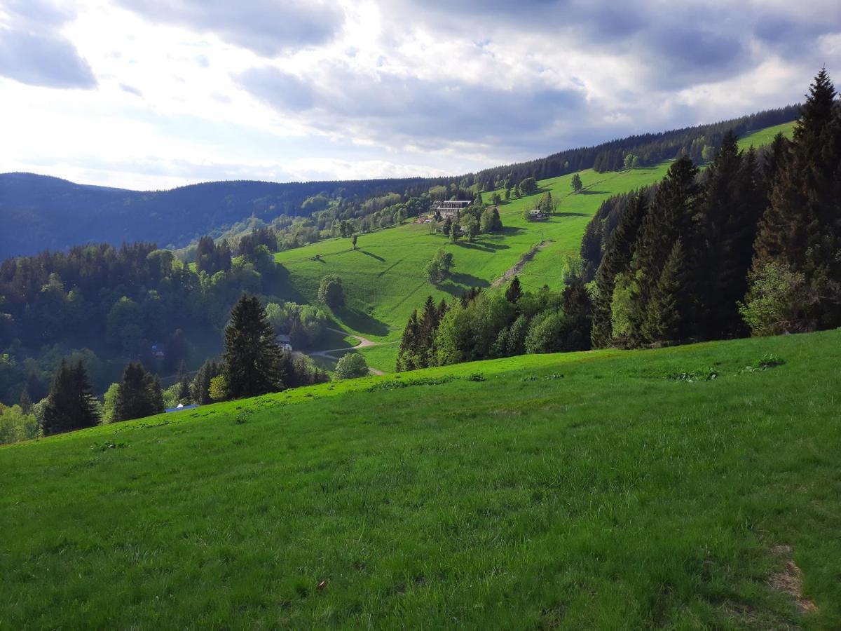 Mezi Stromy Rokytnice nad Jizerou